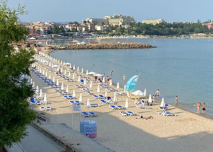 Apartment Bellevue Beachfront Paradise *